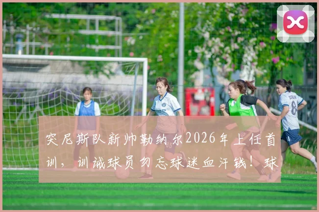突尼斯队新帅勒纳尔2026年上任首训，训诫球员勿忘球迷血汗钱！球迷现场观赛成本深度分析